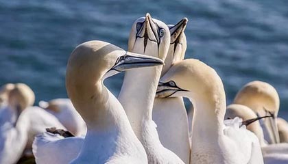 愤怒！尘封资料背后的原因扎心了，细节太真实，尘封专栏