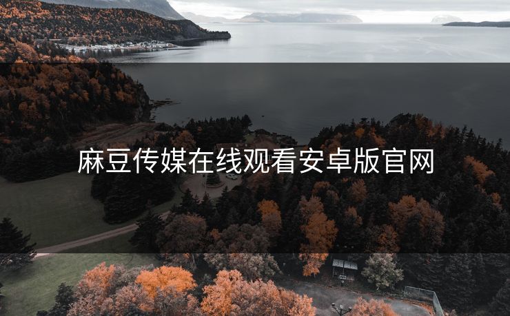 麻豆传媒在线观看安卓版官网