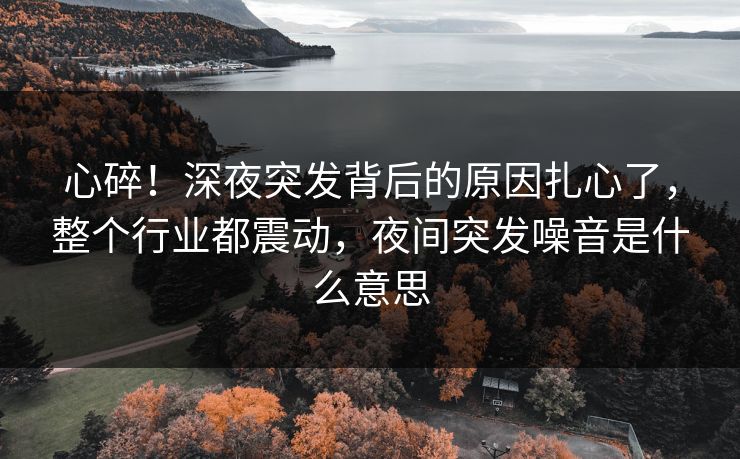 心碎！深夜突发背后的原因扎心了，整个行业都震动，夜间突发噪音是什么意思